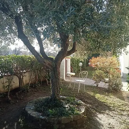 Residenza Relax Quinto Alto Firenze Apartment Sesto Fiorentino